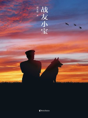 cover image of 战友小宝